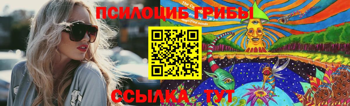 Галлюциногенные грибы мухоморы Гусев